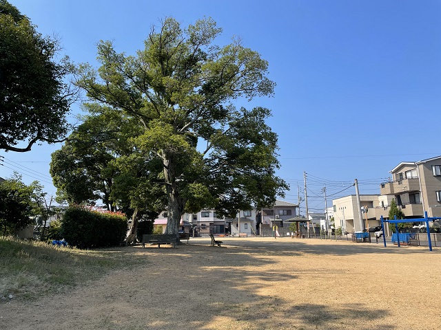 伏石立石公園